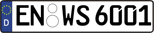 EN-WS6001