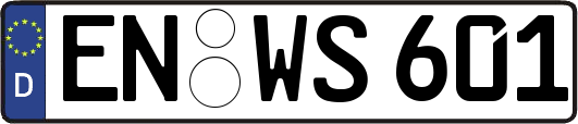 EN-WS601