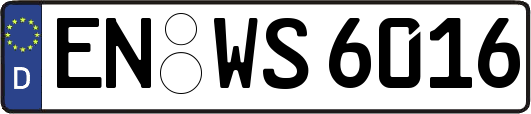 EN-WS6016