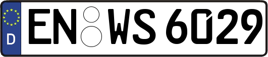 EN-WS6029
