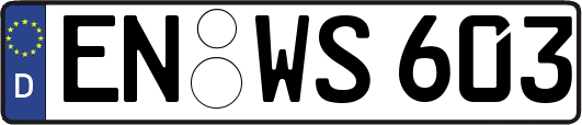 EN-WS603