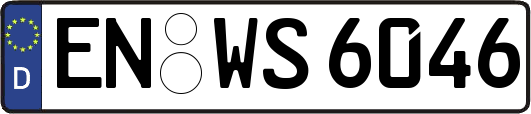 EN-WS6046