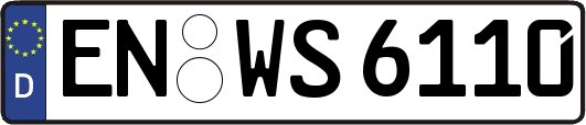 EN-WS6110