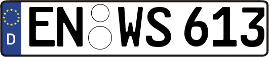 EN-WS613