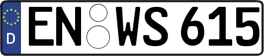 EN-WS615