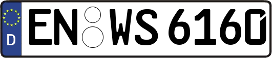 EN-WS6160