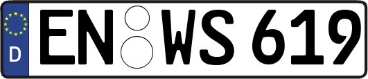 EN-WS619