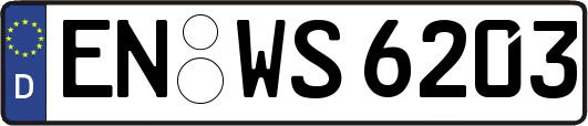 EN-WS6203