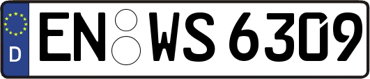 EN-WS6309