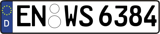 EN-WS6384