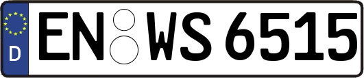 EN-WS6515