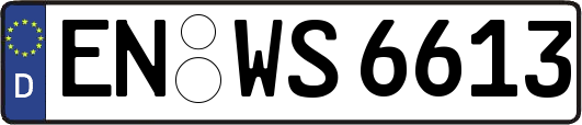 EN-WS6613