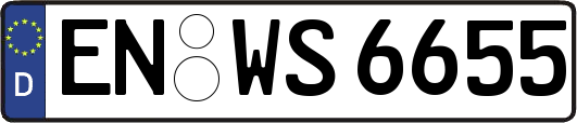 EN-WS6655