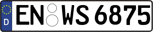 EN-WS6875