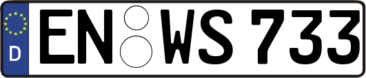 EN-WS733