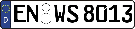 EN-WS8013