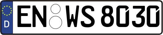 EN-WS8030