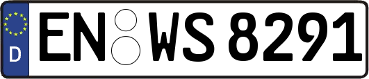 EN-WS8291