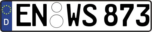 EN-WS873
