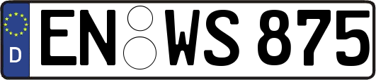 EN-WS875