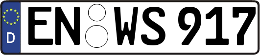 EN-WS917
