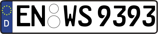 EN-WS9393