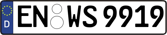 EN-WS9919