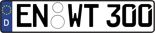 EN-WT300