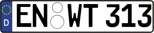 EN-WT313