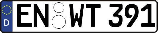 EN-WT391