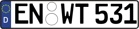 EN-WT531
