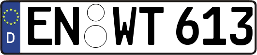 EN-WT613
