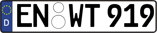 EN-WT919