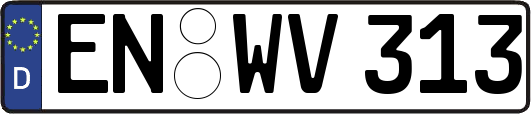 EN-WV313