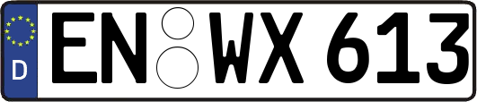 EN-WX613