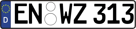 EN-WZ313