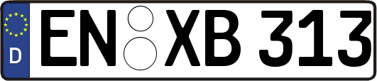 EN-XB313