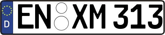 EN-XM313