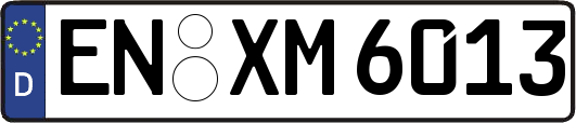 EN-XM6013