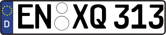 EN-XQ313