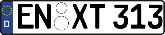 EN-XT313