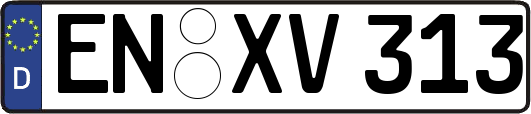 EN-XV313