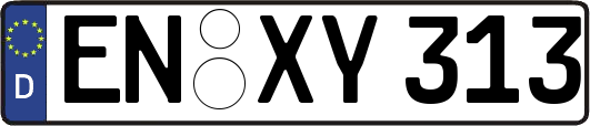 EN-XY313