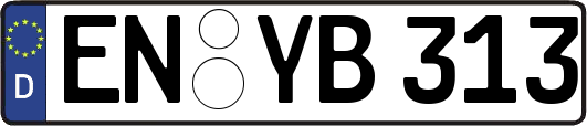 EN-YB313