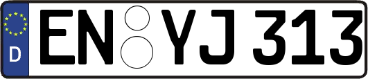 EN-YJ313