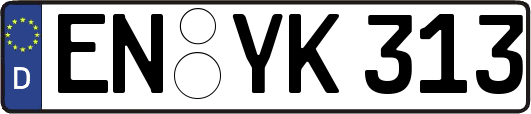 EN-YK313