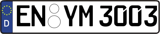 EN-YM3003