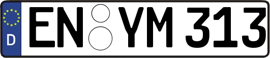EN-YM313