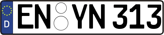 EN-YN313