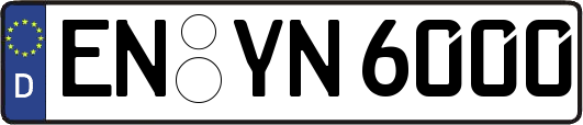 EN-YN6000
